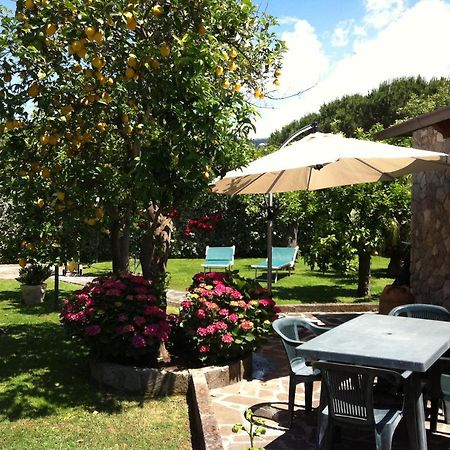 Chalet Claudia Sant'Agnello Ngoại thất bức ảnh